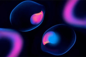 ASUS华硕a豆Adol_I421FAY, I421FPY, I421FQY_ADOL14FQC原厂Win10.20H1系统工厂模式安装包,带Recovery恢复重置还原